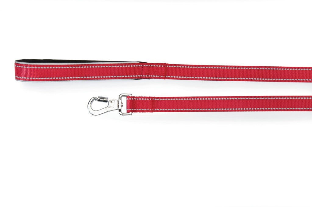 Camon Guinzaglio per Cani Reflex con Maniglia in Neoprene - Fucsia 25x1200mm Camon Guinzaglio per Cani Reflex con Maniglia in Neoprene - Fucsia 25x1200mm